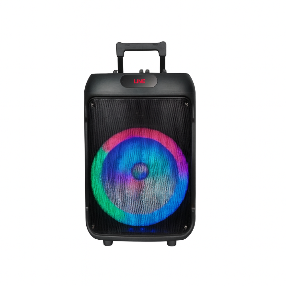 V-1225 12-Inch Bluetooth Party Speaker