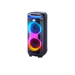 V-1175 Double 10-Inch Bluetooth Party Speaker | 80W TWS Speaker with Mic & Remote